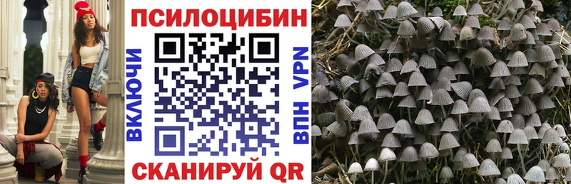 Псилоцибиновые грибы Psilocybine cubensis  дарнет шоп  Оса 